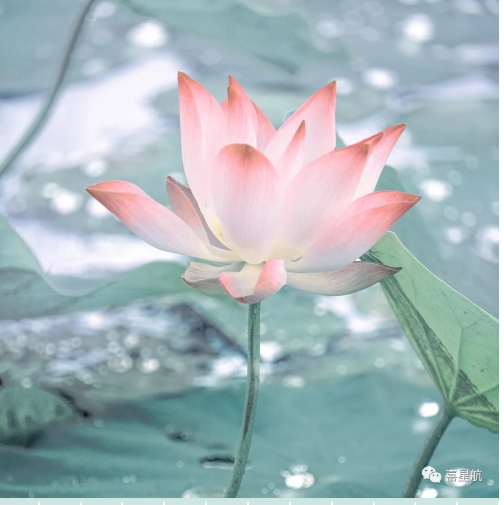 定了！今年居民醫(yī)保繳費(fèi)標(biāo)準(zhǔn)每人每年350元！